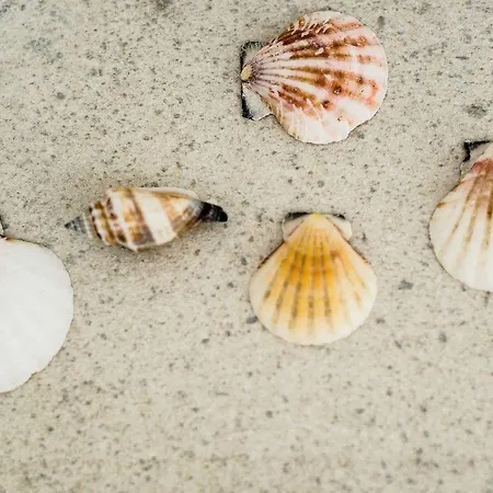 Sanhaus - Ul Haffnera I Okolice - 3-5 Minut Od Plazy I Deptaka * Sopot