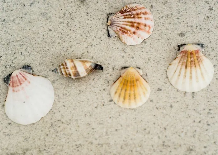 Sanhaus - Ul Haffnera I Okolice - 3-5 Minut Od Plaży I Deptaka * Sopot
